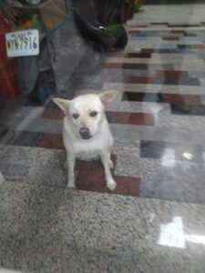 327184367 850452179379292 2478983162954376781 n