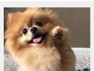 344334123 567148858737927 4768380975960144532 n