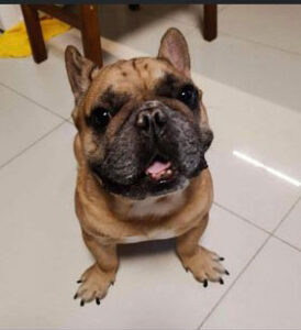 354450735 1050217555941971 907448113170284924 n