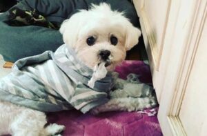 358909347 327743179577233 1520419367622115719 n