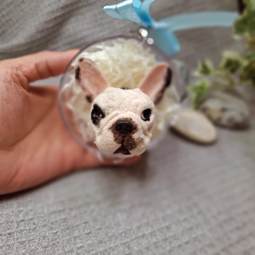 img 20231229 221318 315