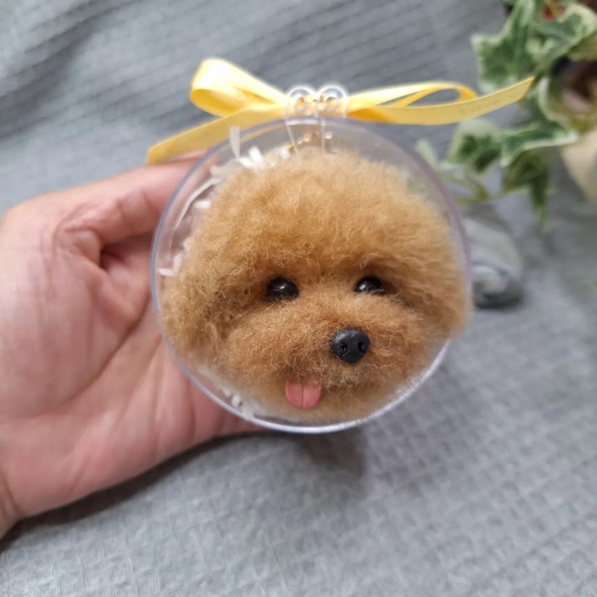 img 20240104 111429 509