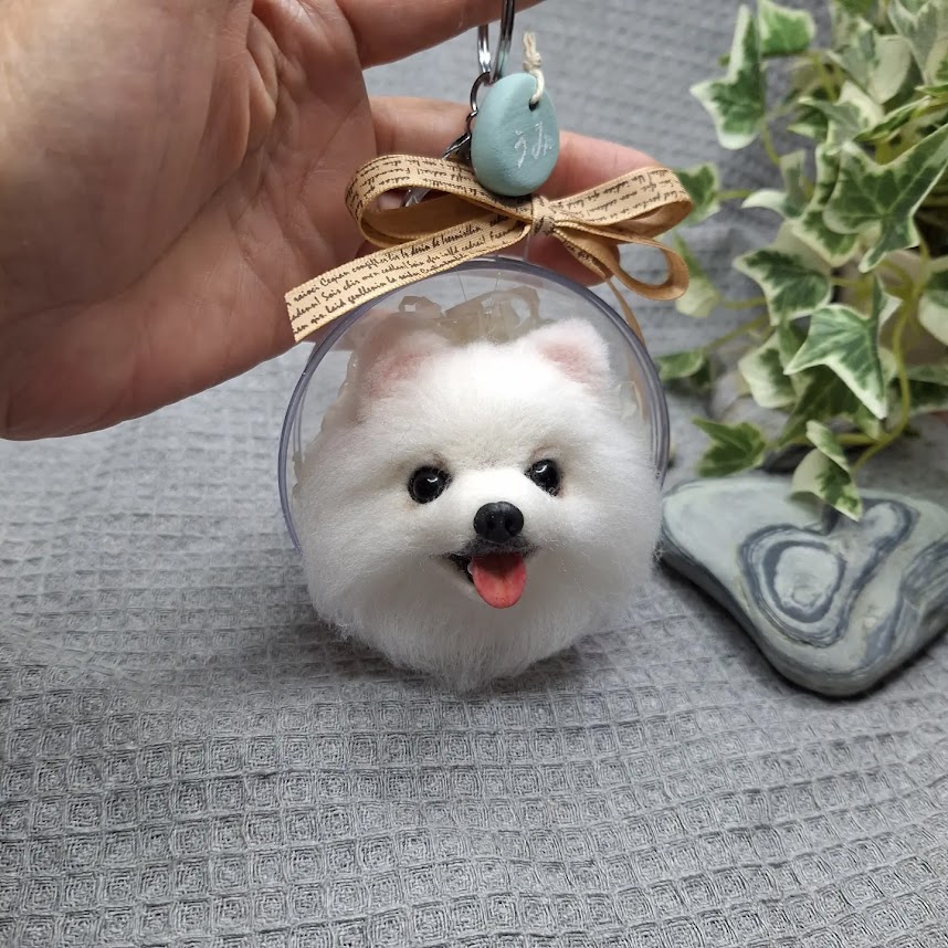 img 20240313 082950 301