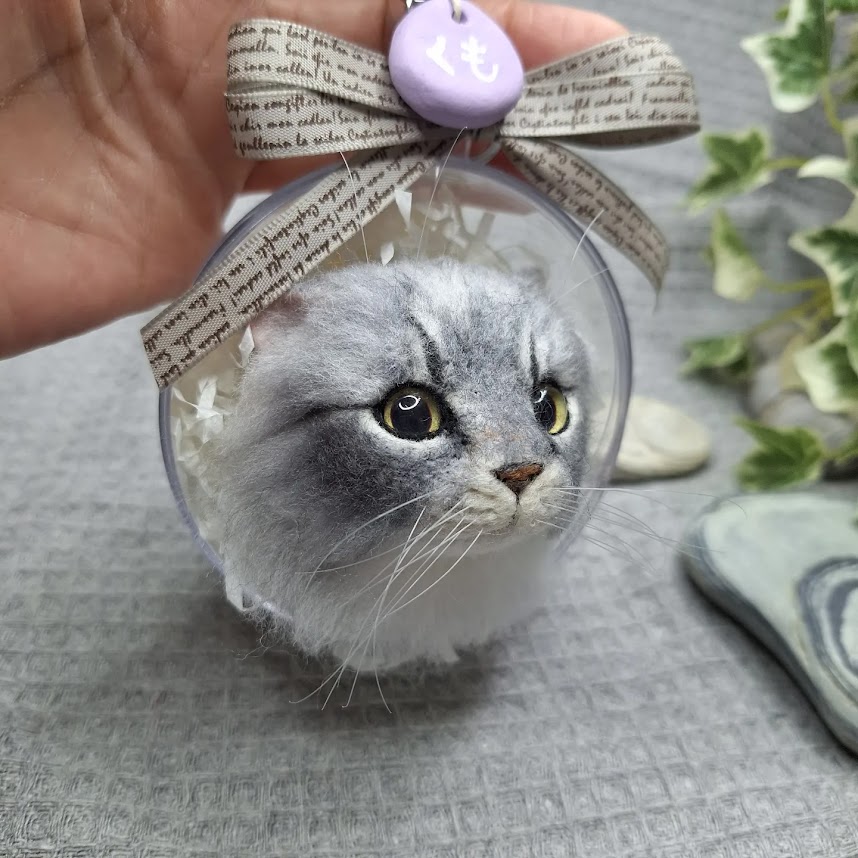 img 20240313 082950 984