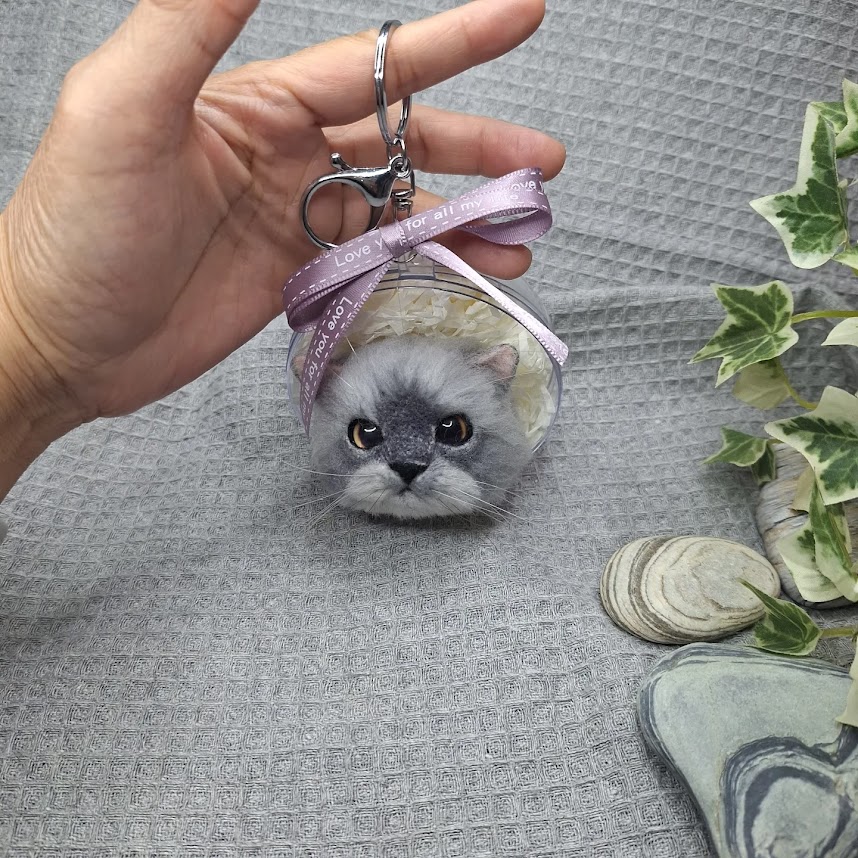 img 20240318 192428 657