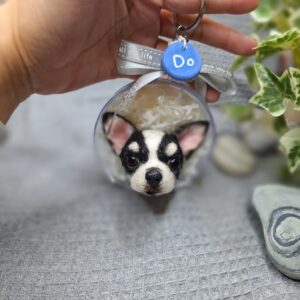 img 20240419 140245 098