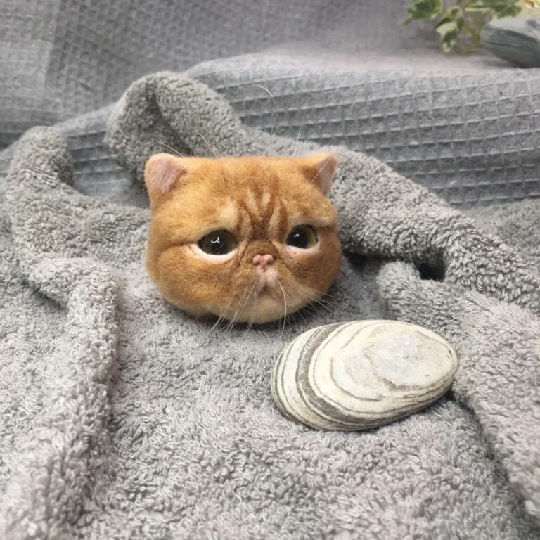 img 20240624 193638 852