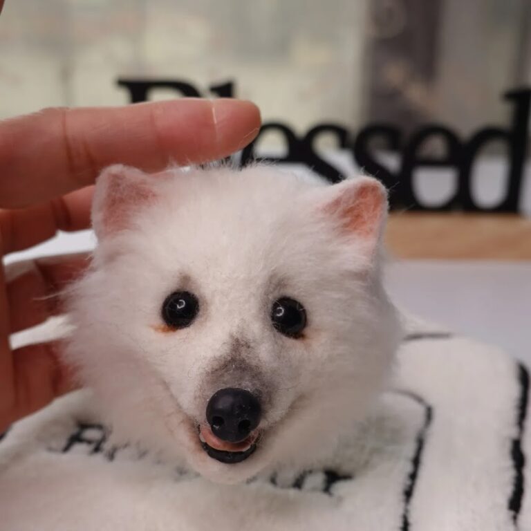 img 20250109 000642 295